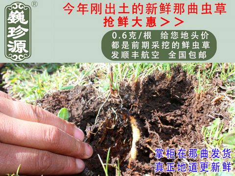 ���r���x�Ĳ����������r�x�ݣ�Ρ��Դ0.6��/���^�����r�������x�Ĳ��������ڳ����������^�����r�x��