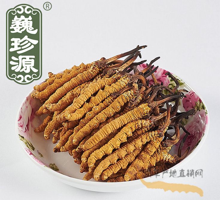 ���x�Ĳ����x߀�ǲ�,���x�Ĳ���ֲ��߀�Ǆ����x��,���x�Ĳ��c���x�ݵą^(q��)�e,�x���c���x�Ĳ��Ѕ^(q��)�eʲô�^(q��)�e