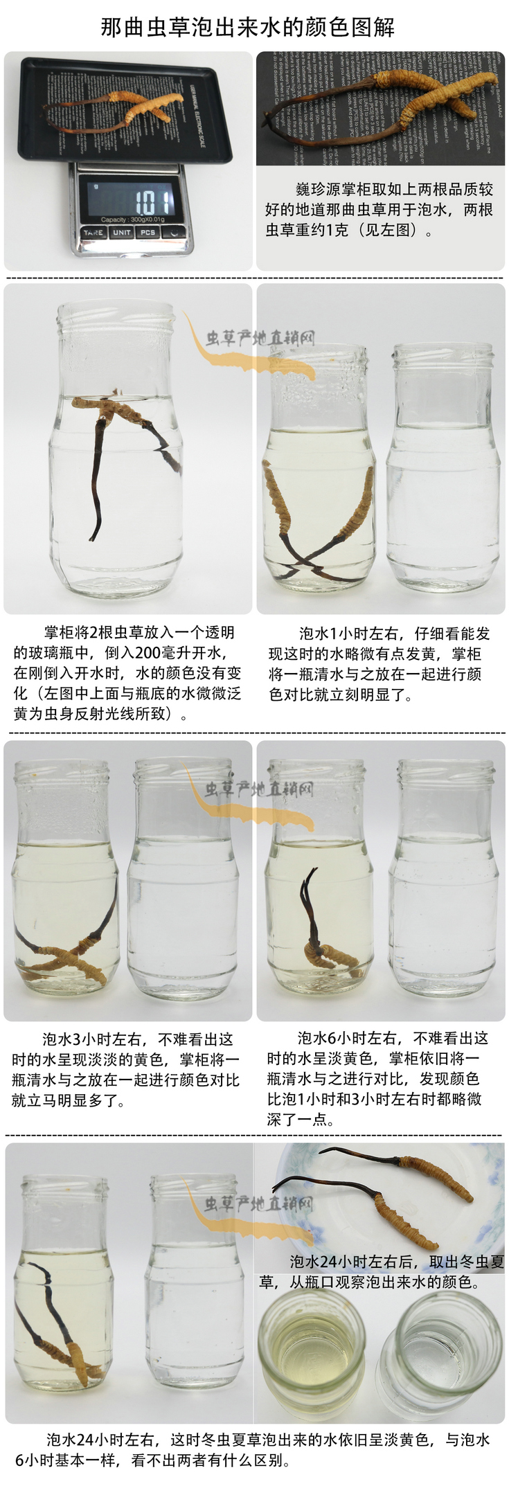 ���x�Ĳ��ݳ���ˮ���ɫ�����x�Ĳ��ݳ�����ˮ��ʲô�ɫ�����x�Ĳ���ˮ���ɫ��׃�����������x�����^ˮ��ˮ׃��ʲô�ɫ