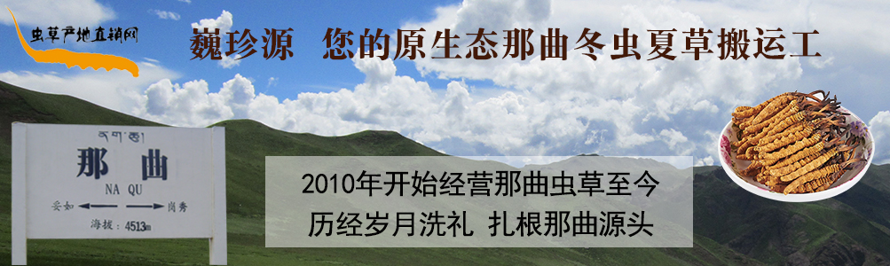 ���x(ch��ng)�Ĳ�,��B���������x(ch��ng)�������r�x(ch��ng)�ݺ��������r���x(ch��ng)�Ĳ�,���l(f��)�����x(ch��ng)�Ĳ݃r(ji��)��