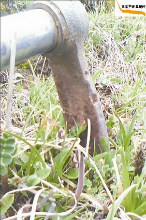 ���x�Ĳ������Ӳ��ڳ�����?����l(f��)�F(xi��n)һ�����x�Ĳ�,��(zh��n)��Ѷ��x�Ĳݲ��ڳ���